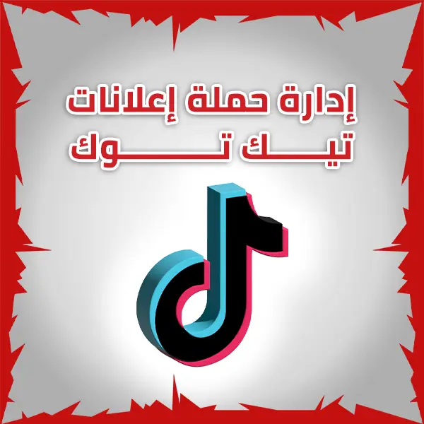 ادارة حملة اعلانات تيك توك